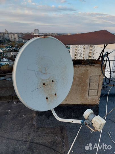 Тарелка Триколор