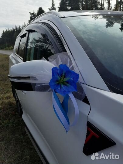 Украшения на машину