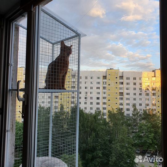 Балкон для кошки, вольер