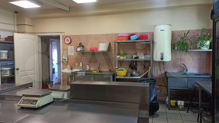 Пищевое производство, 90 м²