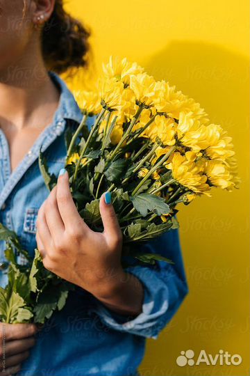 Красивый Букет из Хризантем Доставка