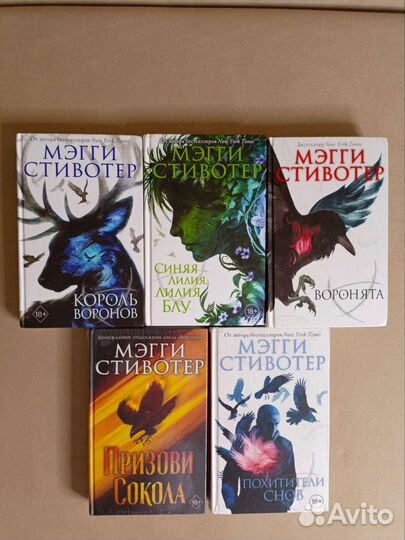 Мэгги Стивотер, Нора Сакавич