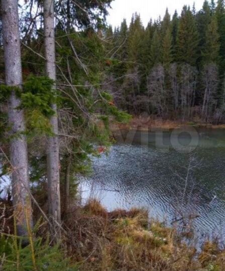 Участок 86 сот. (промназначения)