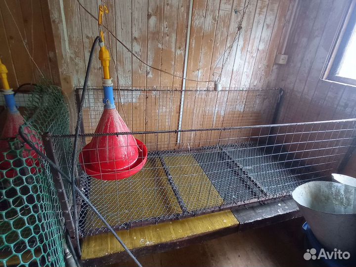 Клетки, брудеры, инкубаторы, поилки