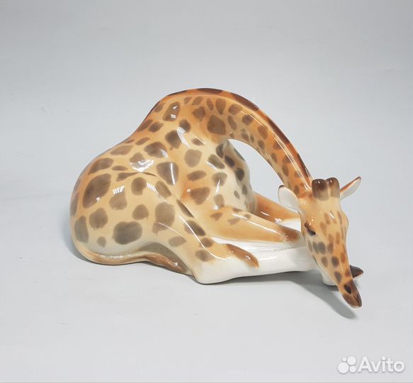 Фарфор ифз лфз