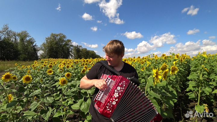 Поющий Баянист-гармонист на свадьбу