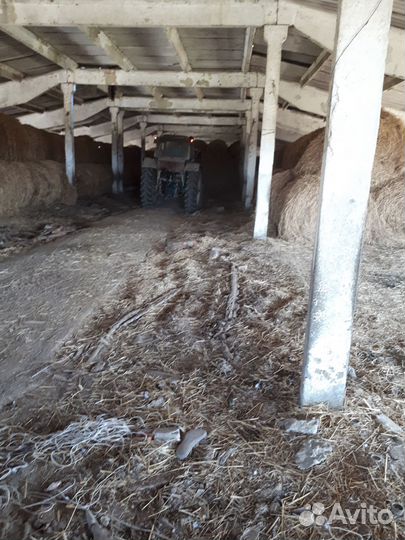 Сено люцерны в рулонах со склада