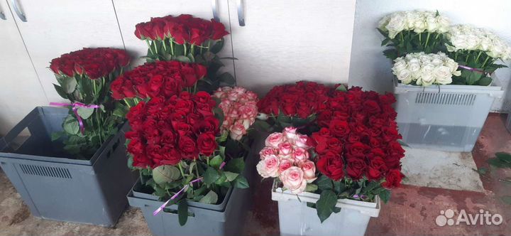 Цветы, розы, букеты