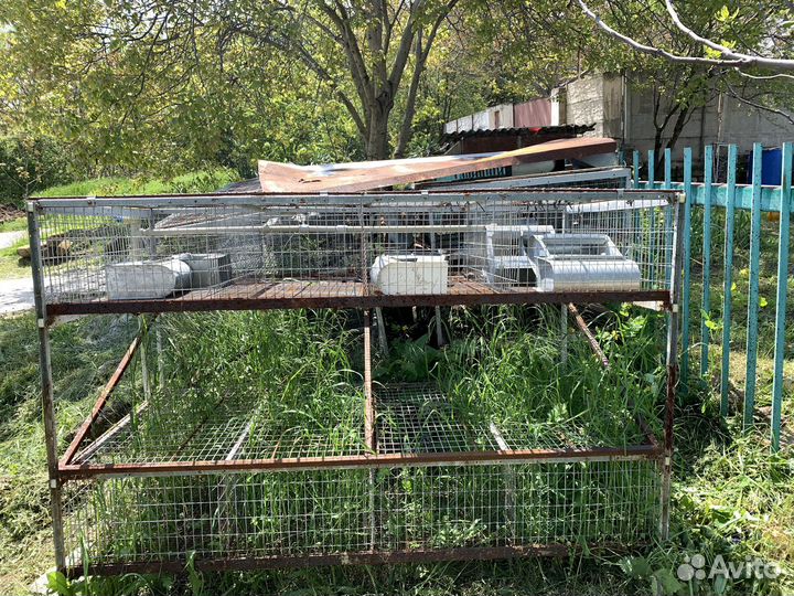 Клетки для кроликов