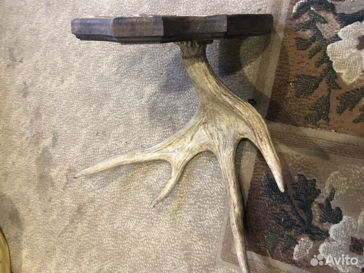 Рога лося на медальоне