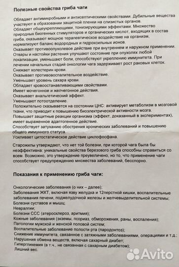 Чага березовая