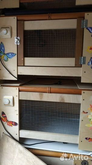 Брудер практичный для цыплят