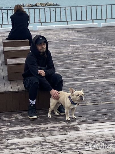 Французский бульдог кабель вязка