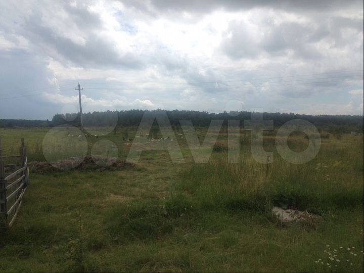 Дом 58 м² на участке 50 сот.