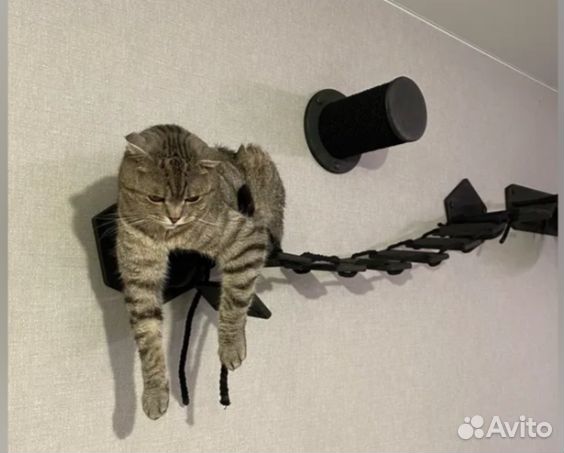 Игровой настенный комплекс для кошек