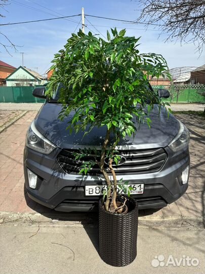 Олива искусственное дерево