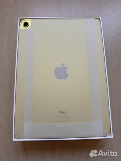 iPad 10 256 wi fi cellular
