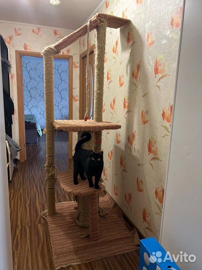 Когтеточка