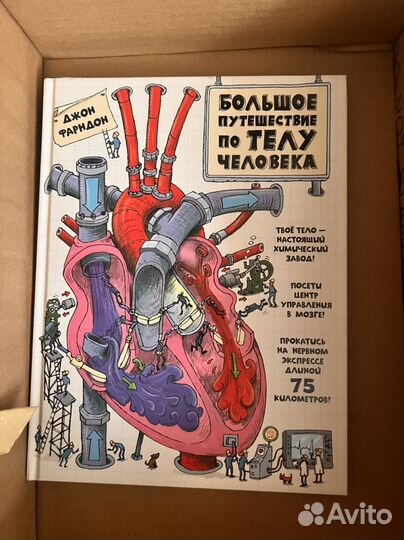 Книга о человеке