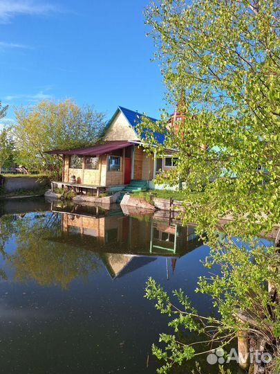 Баня на дровах у озера