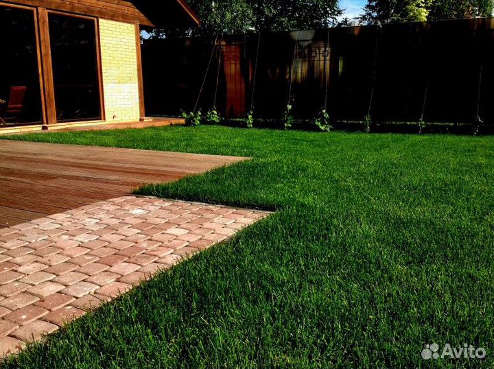 Рулонный газон с доставкой