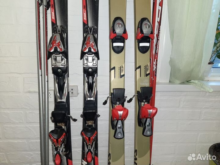 Ботинки горнолыжные