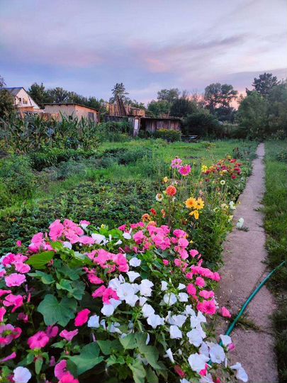 Дача 20 м² на участке 7 сот.