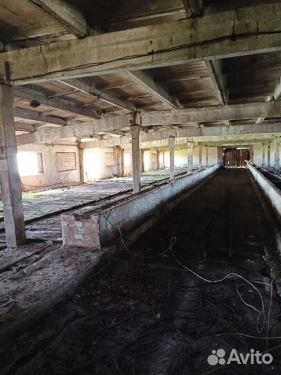 Фермерское хозяйства