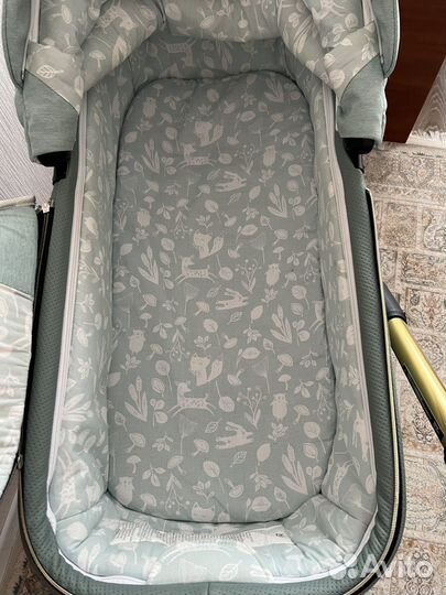 Коляска 2 в 1 adamex reggio