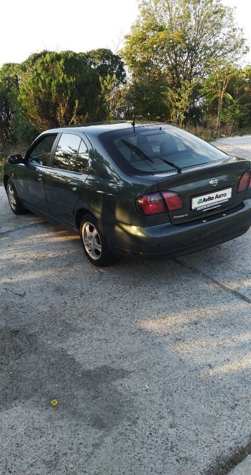 Nissan Primera: фото владельца