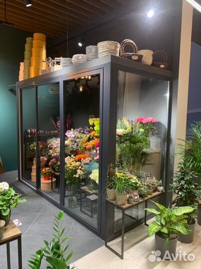 Цветочная холодильная камера