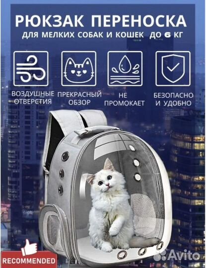 Переноска для кошек пластиковая