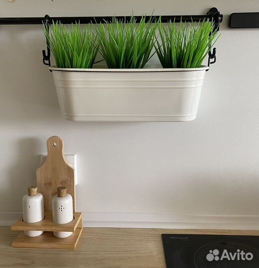 Зелень в горшочке стаканчике осока