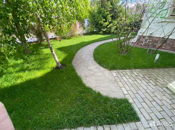 Рулонный газон под ключ