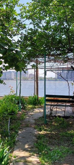 Дом 40 м² на участке 2 сот.