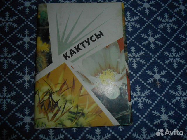Набор открыток Кактусы (выпуск 2 1990 г)