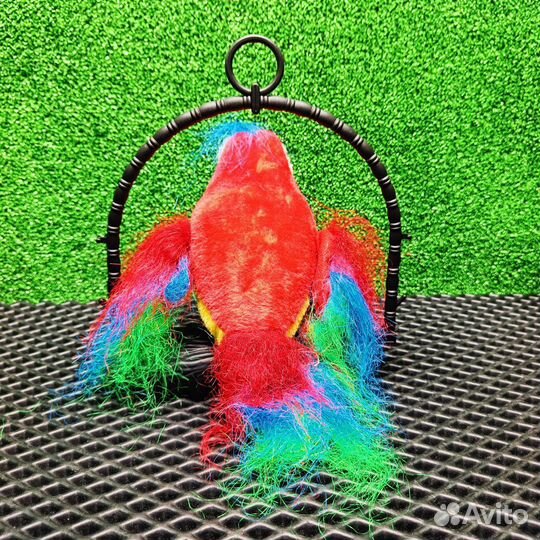 Попугай повторюшка