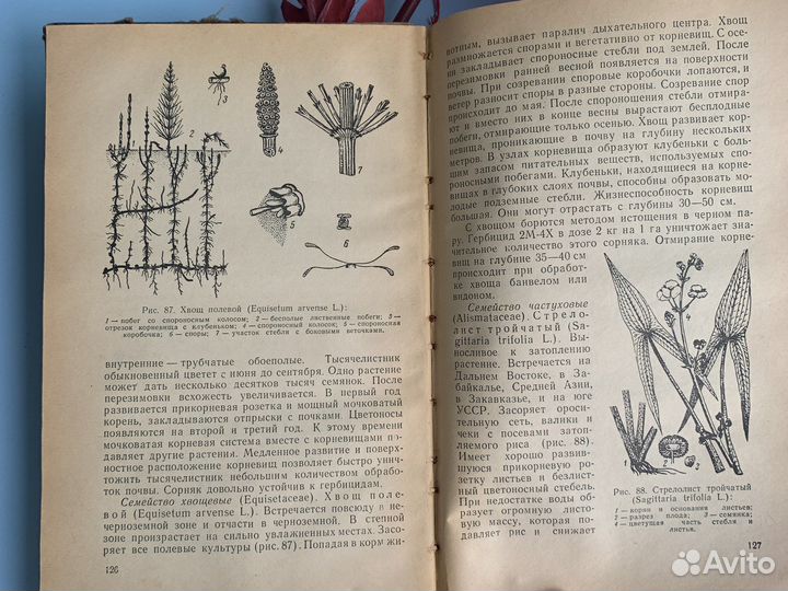 Книга СССР сорные растения и методы борьбы Кисилев