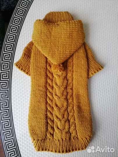 Одежда для животных