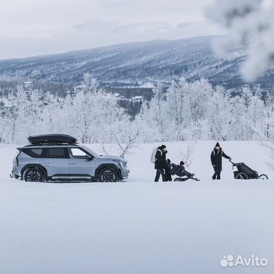 Бокс Thule Motion 3 XXL, 232x92x45 см, черный гля