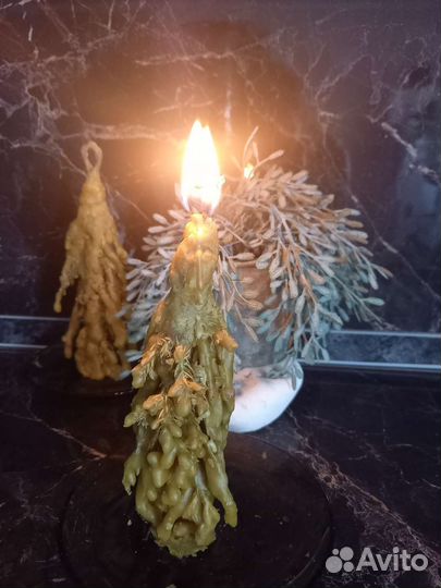 Маканая свеча с веткой можжевельника