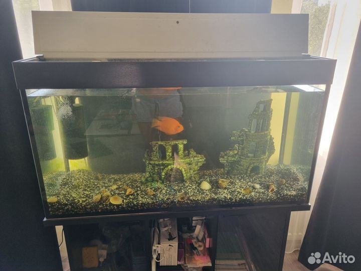 Аквариум с тумбой 200 л