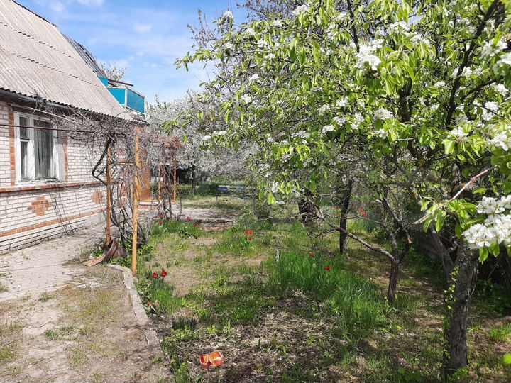 Дом 65 м² на участке 5,6 сот.