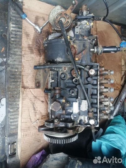 Тнвд на ман