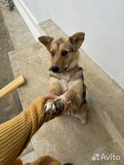 Милая девочка Буся)