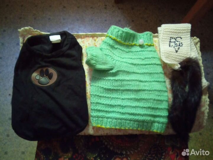 Одежда для маленьких собачек