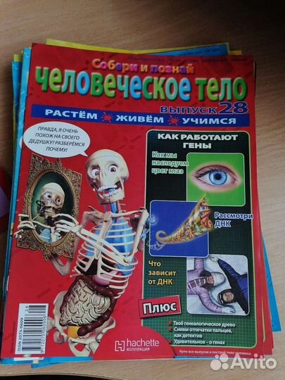 27 журналов про человеческое тело для детей