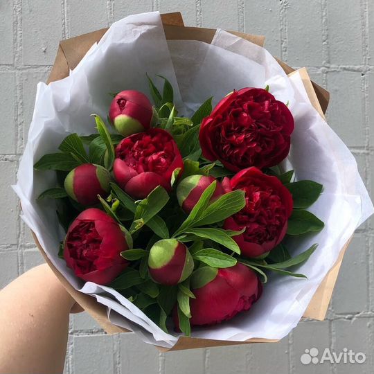 Букет из 9 импортных пионов (Economy)