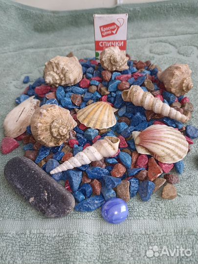 Ракушки, камешки для аквариума
