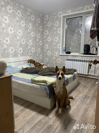 Отдам в добрые руки